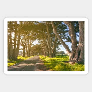 Cypress Tunnel Sticker